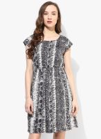Van Heusen Blue Colored Printed Shift Dress