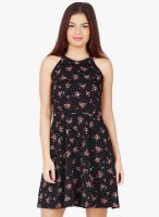 20dresses Black Colored Printed Skater Dress