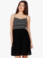 20dresses Black Colored Printed Skater Dress