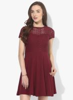 Dorothy Perkins Maroon Colored Embroidered Skater Dress
