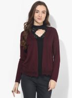 Dorothy Perkins Maroon Solid Shrug