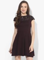 Dorothy Perkins Wine Colored Embroidered Skater Dress