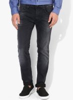 Gas Black Low Rise Slim Fit Jeans