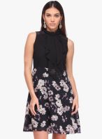 NINETEEN Black Printed Skater Dress