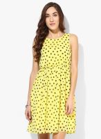 Only Yellow Colored Printed Skater Dress
