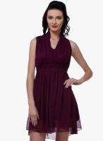 Purys Purple Colored Solid Skater Dress