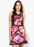 Sf Jeans By Pantaloons Multicoloured Printed Skater Dress