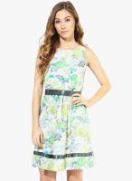 The Vanca Green Colored Printed Skater Dress