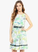 The Vanca Green Colored Printed Skater Dress