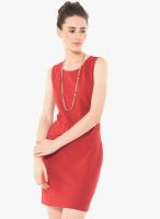 Besiva Maroon Colored Solid Bodycon Dress