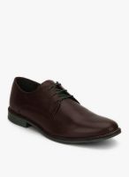 Blackberrys Pp-Aimery Brown Lifestyle Shoes