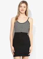 Calgari Black Colored Striped Bodycon Dress