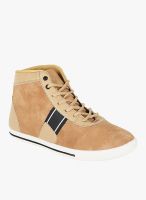 Globalite Straper Brown Sneakers