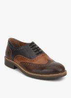 Knotty Derby Burbage Brown Brogue Lifestyle Shoes