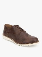 Knotty Derby Colin Derby Brown Lifestyle Shoes