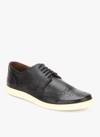 Knotty Derby Justin Black Brogue Lifestyle Shoes