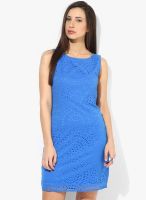 Latin Quarters Blue Colored Solid Bodycon Dress