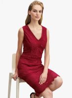 Next Red Lace V-Neck Dress