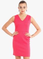 Nun Pink Colored Solid Bodycon Dress