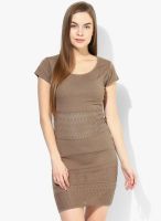 Park Avenue Brown Solid Bodycone Dress