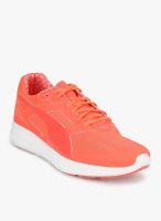 Puma Ignite Pwrwarm Orange Running Shoes