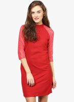 The Vanca Red Solid Bodycon Dress