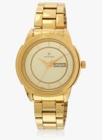 Titan 1585Ym01 Golden/Golden Analog Watch