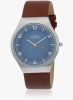 Skagen_Skagen_Grenen_Brown_Bllue_An.jpg