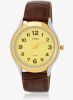 Timex_Ti000v70300_C_Brown_Golden_An.jpg