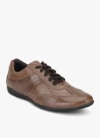 Alberto Torresi Brown Lifestyle Shoes