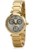 Aspen Ap1670 Gold/White Analog Watch