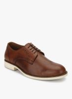 Blackberrys Pp-Accord Brown Lifestyle Shoes