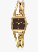 Clyda Clg0077hmiw Golden/Coffee Analog Watch