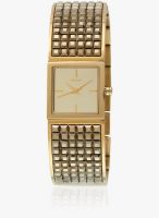 DKNY Dkny Bryant Par Golden/Golden Analog Watch