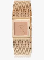 DKNY Ny2114i Golden/Golden Analog Watch