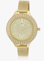 Daniel Klein DK10570-4 Golden/Golden Analog Watch