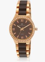 Daniel Klein Dk10656-3 Two Tone/Brown Analog Watch