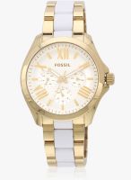 Fossil Am4545-C Two Tone/White Analog Watch