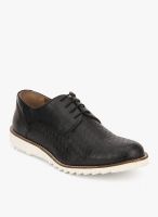Knotty Derby Colin Derby Black Lifestyle Shoes