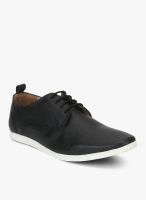 Knotty Derby Knicker Classic Derby Black Sneakers