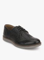 Knotty Derby Weasley Black Brogue Lifestyle Shoes