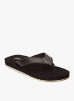 Sole Threads Health Brown Flip Flops