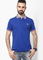 Status Quo Blue Solid Polo T-Shirt