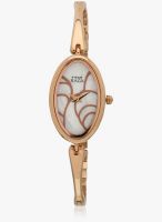 Titan Titan Raga Golden/White Analog Watch