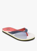 United Colors of Benetton Navy Blue Flip Flops