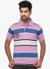 Orange_Valley_Pink_Striped_Polo_T_S.jpg