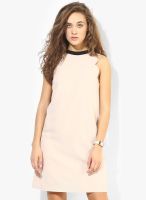 Dorothy Perkins Peach Colored Solid Shift Dress