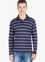 Hypernation Blue Striped Polo T-Shirts