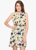 Lemon Chillo Multicoloured Printed Shift Dress