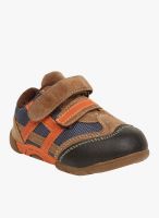 Lilliput Brown Sneakers